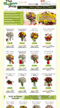 Mobile Screenshot of blossomshop.ca